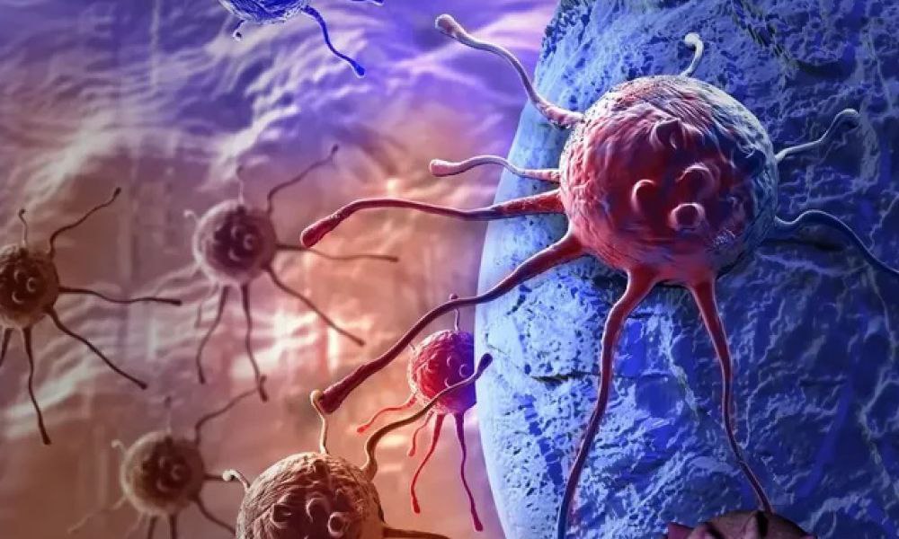 যে জীবে ক্যান্সার নেই